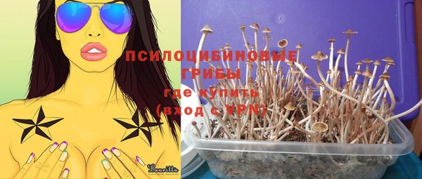 молекула духа Надым