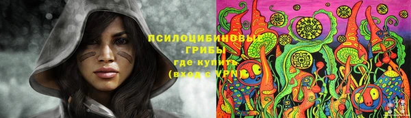 мяу мяу мука Михайловка