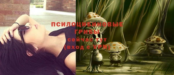 мяу мяу мука Михайловка